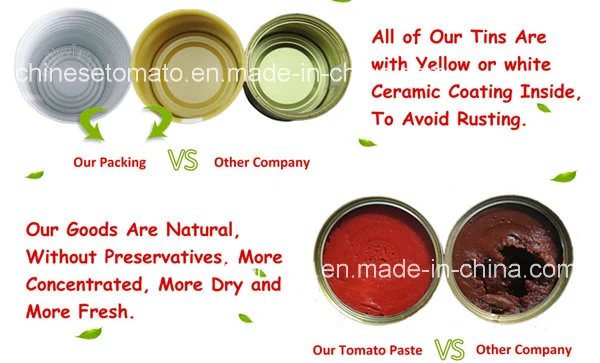 Tomato Paste Importer in Saudi Arabia