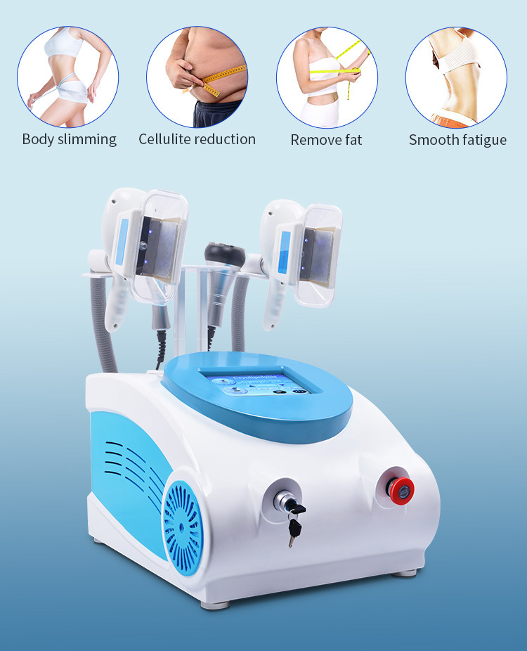 Portable Skin Rejuvenation Cavitation RF Slimming Machine Weight Loss Machine