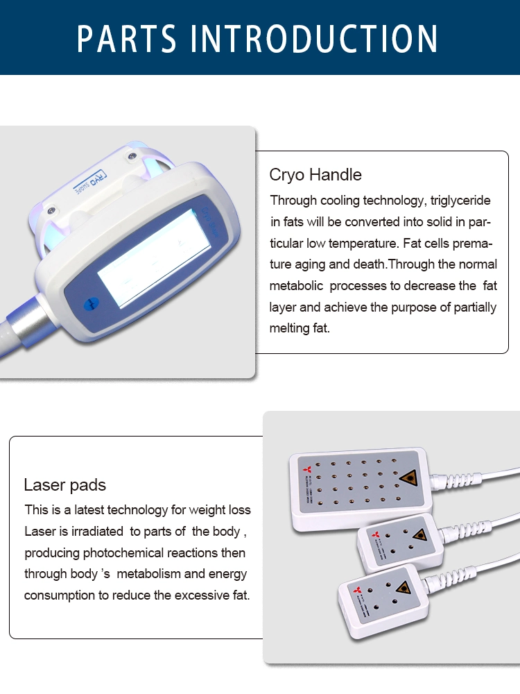 5 in 1 Functions Body Cool Shape Slimming System for Criolipolisis Machine Freeze Fat Lipofreeze Slimming