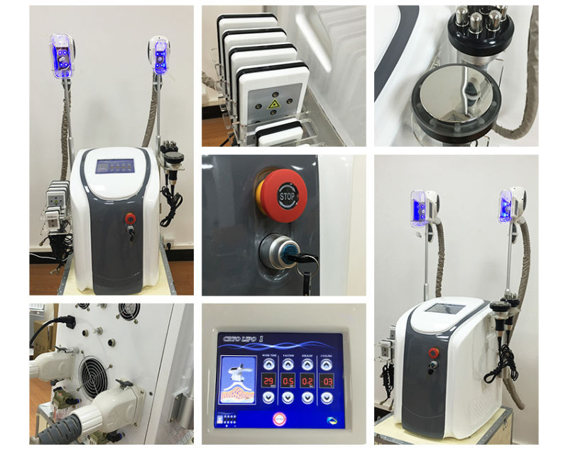 Body Shaping Cryolipolysis Lipo Laser Beauty RF Cavitation Machine