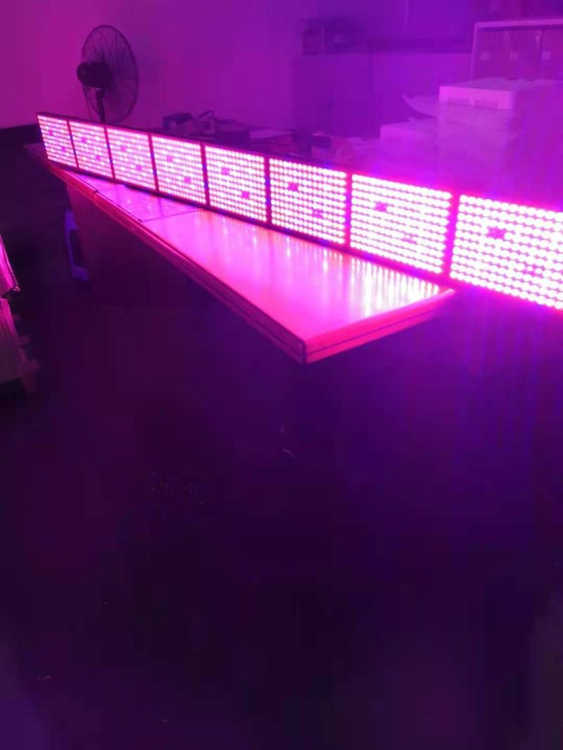 1200 Watt Full Spectrum Best Lights Fixture for Indoor Growing LED Plant Grow Light