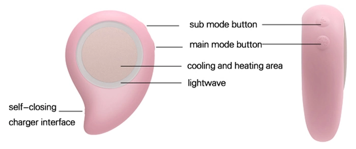 Home Use Electric Facial Care Portable Multifunction Beauty Device