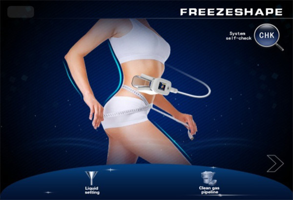 Professional Cryolipolysis Slimming Machine Vacuum Cool Tech Beauty Equipment