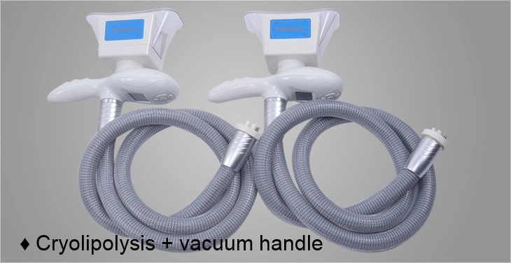 Cryolipolysis 40 Cavitation Multifunctional Beauty Equipment Portable