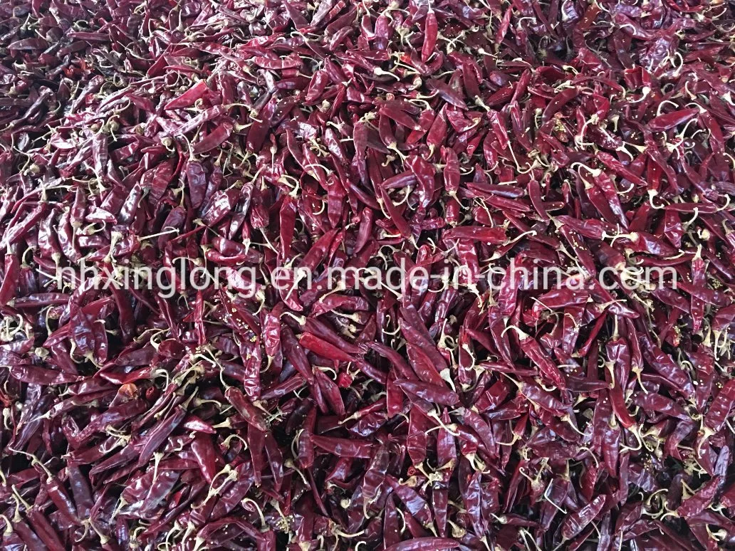 New Crop Dried Mexico Guajillo Chile for Chilli Importer