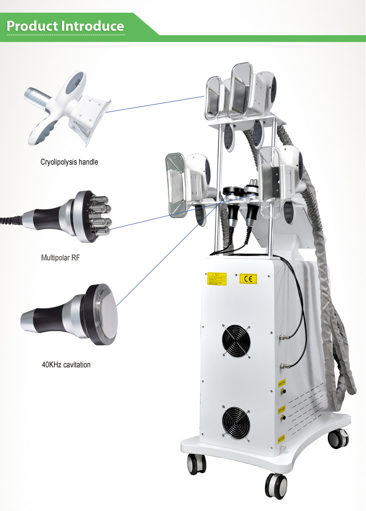 Favorable Price Cryolipolysis Body Slimming Ultrasound Cavitation Machine