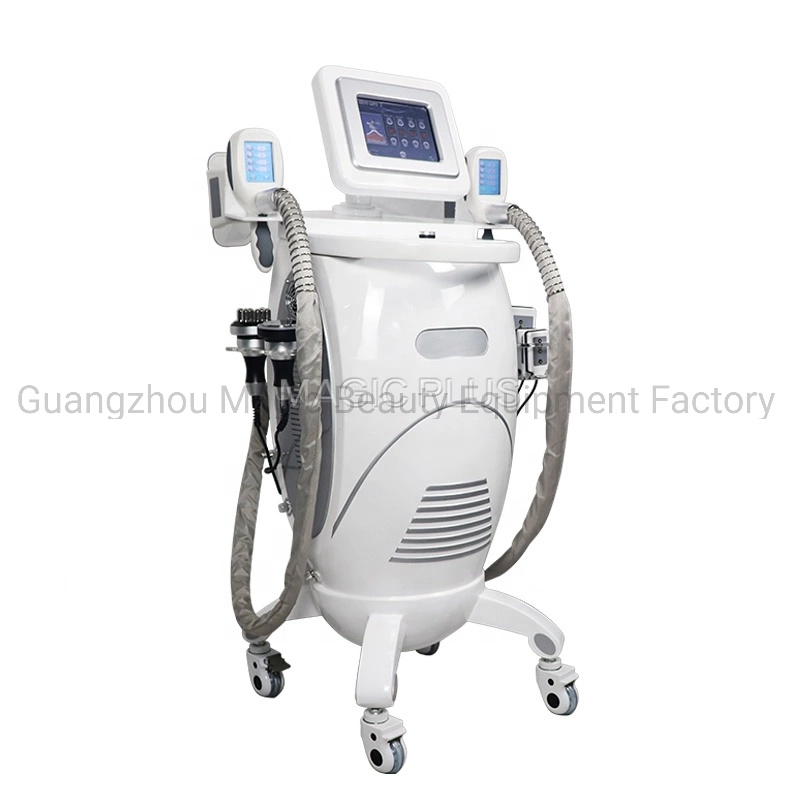 5 in 1 Cryolipolysis Machine for Body Slimming Weight Lose