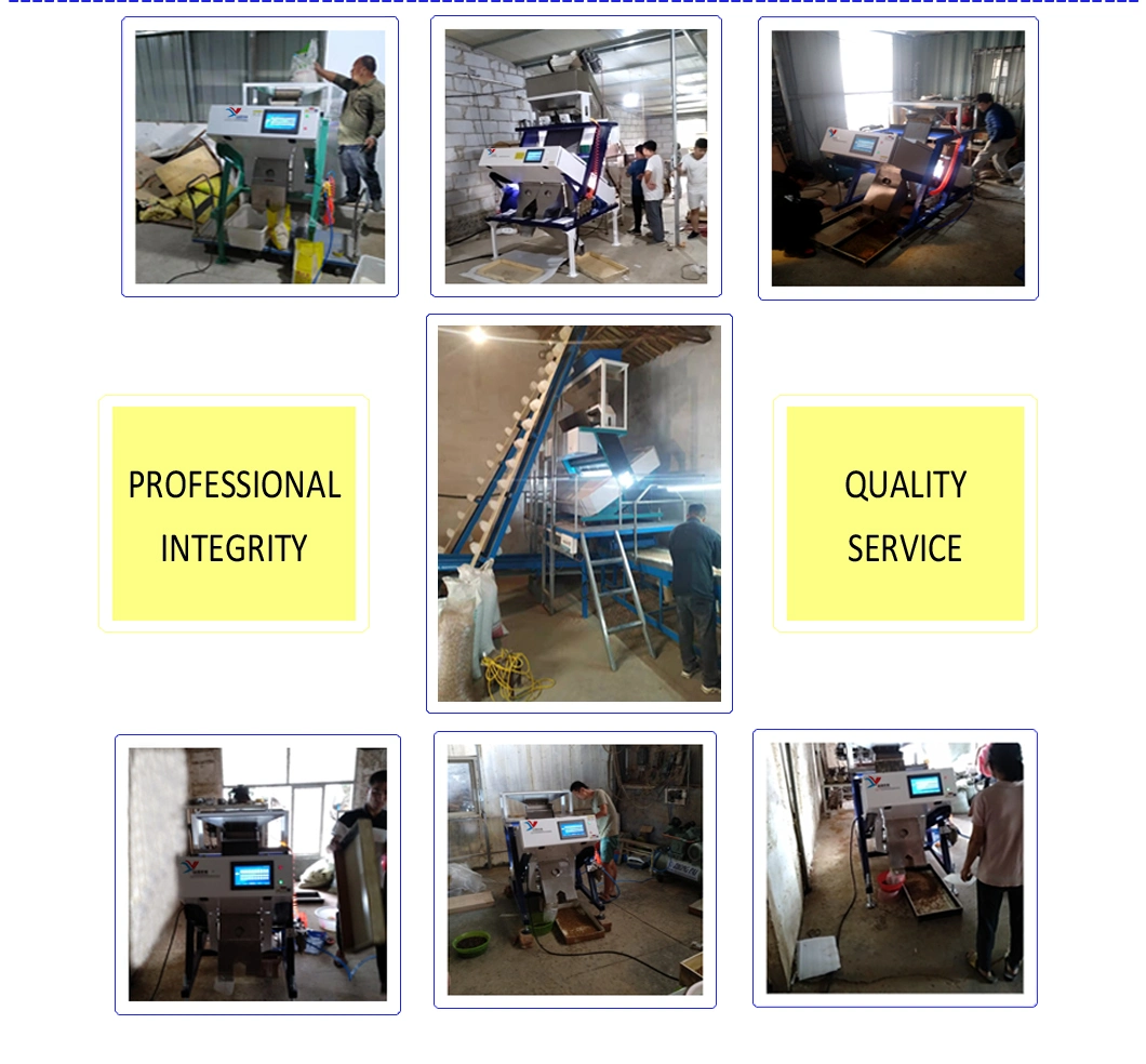 7 Chutes CCD Multifunctional Intelligent Professional LED Grain Sesame Color Sorter Machine