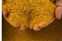 Animal Feed Corn Gluten Meal Importer for 60% 65% Protein