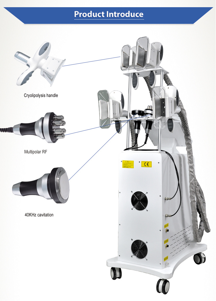 2019 Trending Immediately Result Fat Freezing Cryolipolysis Weight Loss Slimming Kryolipolyse Machine