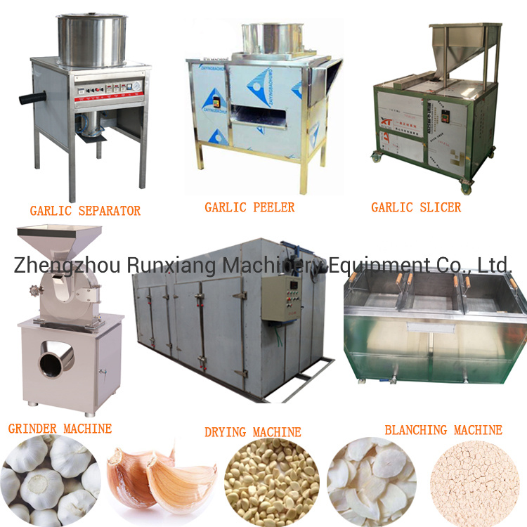 Ginger Garlic Paste Making Machine|Garlic Breaking Machine|Gralic Processing Machine