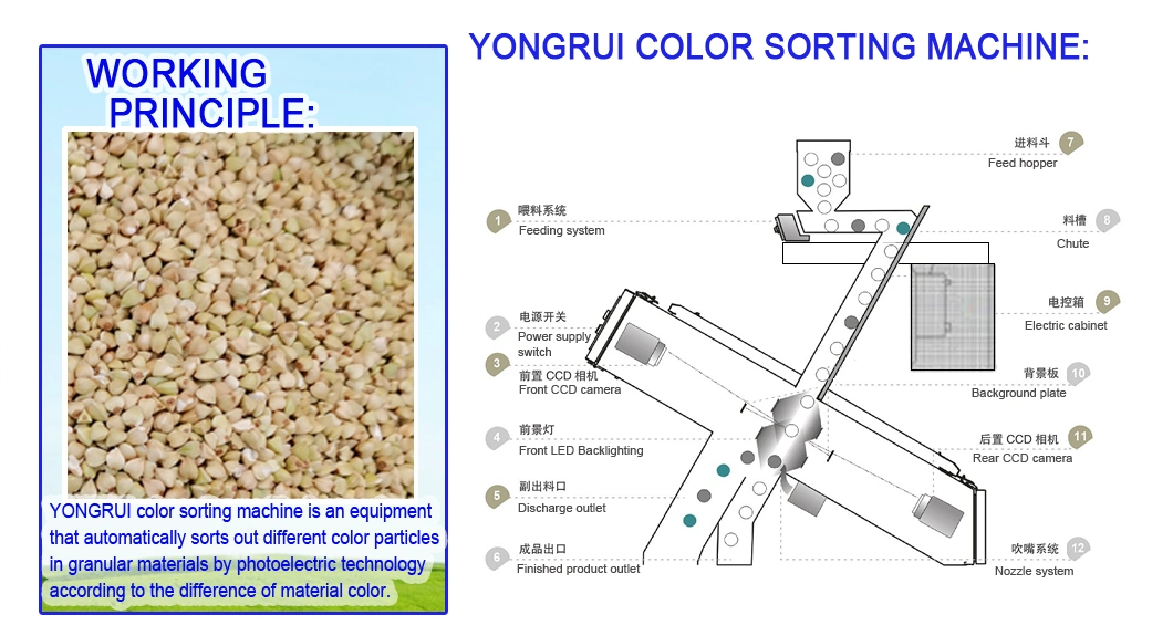 5 Chutes CCD Multifunctional Intelligent Professional LED Grain Buckwheat Color Sorter Machine