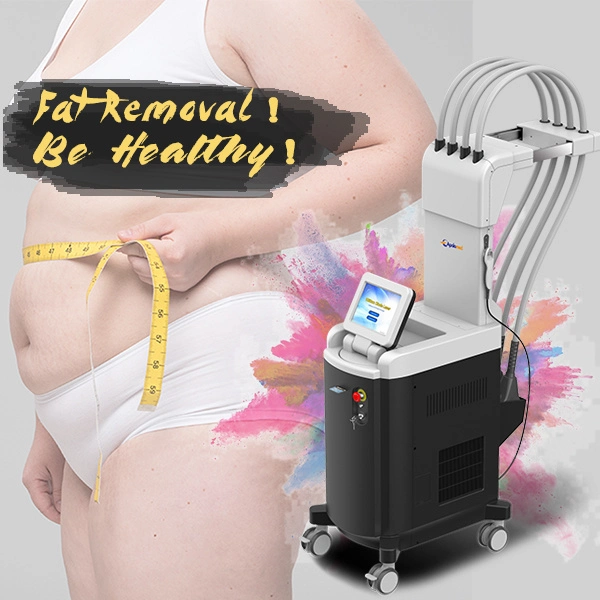 Best Slimming 1060nm Diode Laser Body Sculpture Machine for Woman Slimming