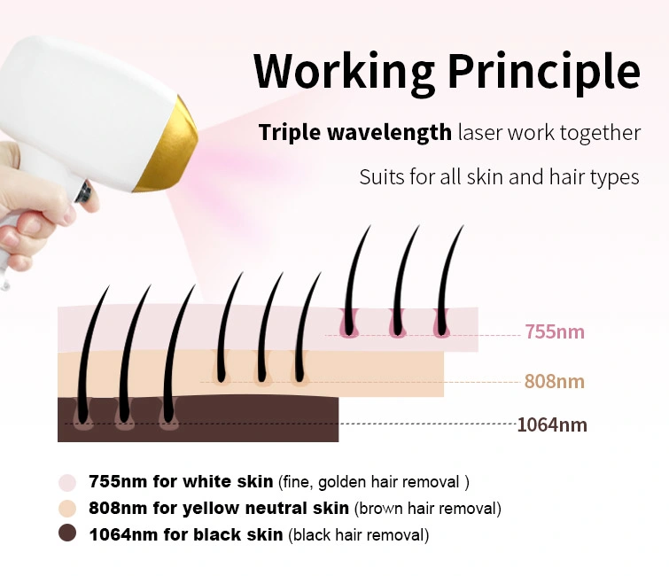 Triple Wave 808nm 1064nm 755nm Laser Diode Harmony XL PRO Flawless Painless Hair Removal Laser Device