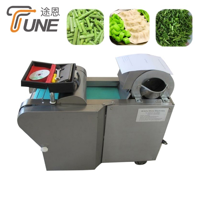 Multi-Function Automatic Stainless Steel Fruit Vegetable Cutting Machine