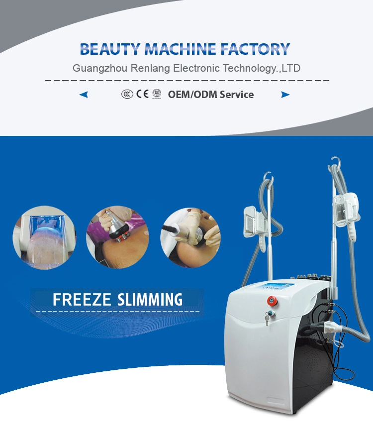Multipolar RF Cryolipolysis System Fat Freeze Slimming Machine for Sale