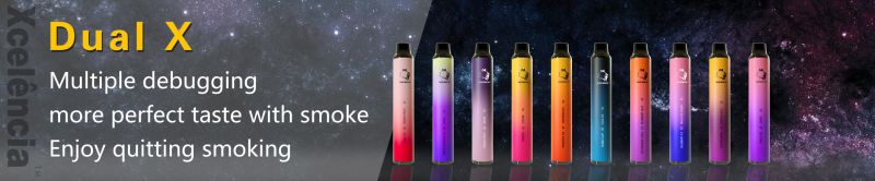 2in1 10 Options Dual-X Flavors Disposable Vape Pen Switch Vape Electronic Cigarettes