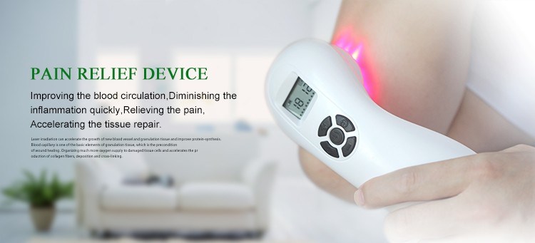 Portable Home Use Physiotherapy Red Light Laser Therapy Instrument