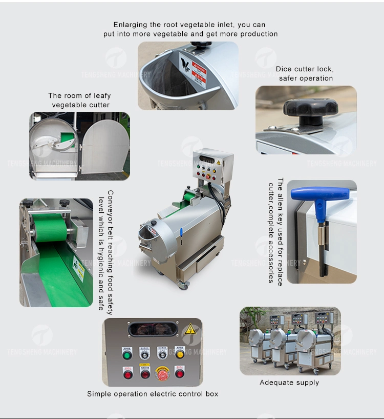 Multifunction Vegetable Fruit Cutter/ Double Head Cutting Slicing Shredding Dicing Machine (TS-Q118)