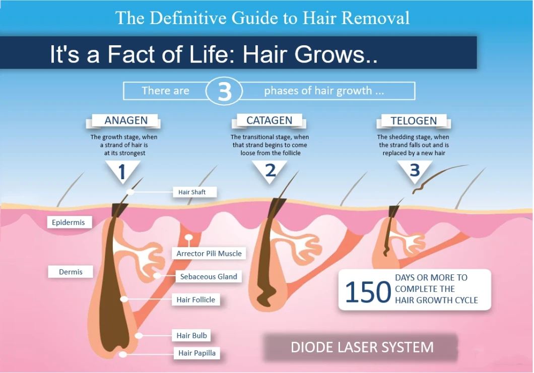 Diode Laser 808nm Triple Wave Hair Reduction Device Home Use