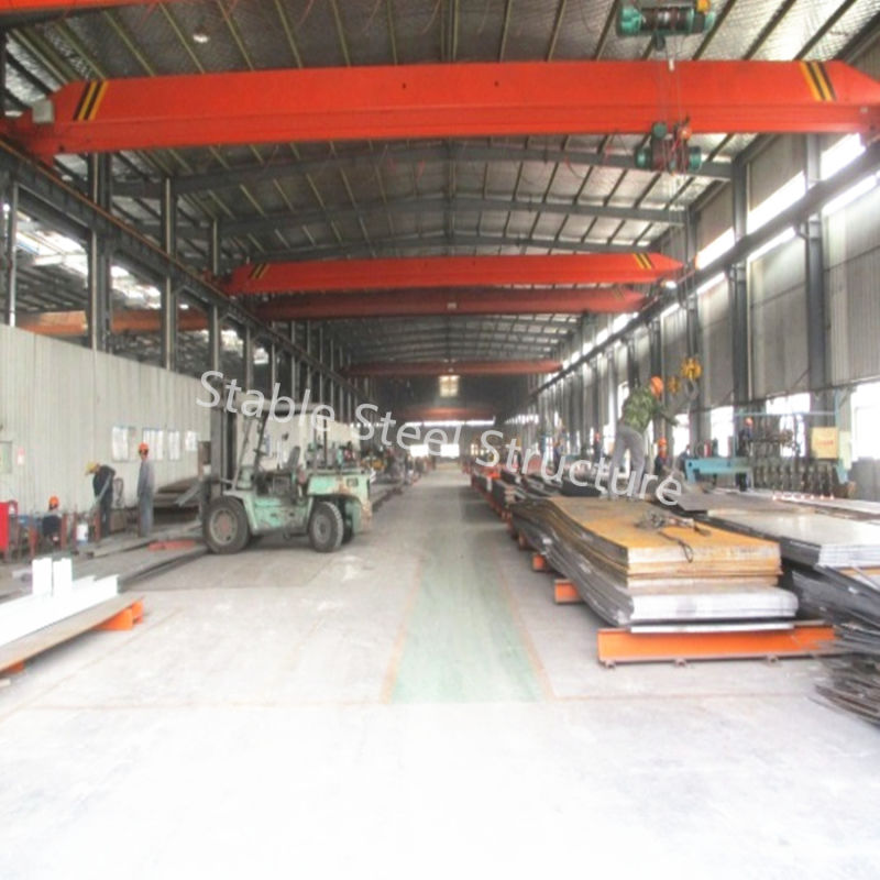 High Standard Quality Prefab Industrial Steel Structure Building Hall for Germany