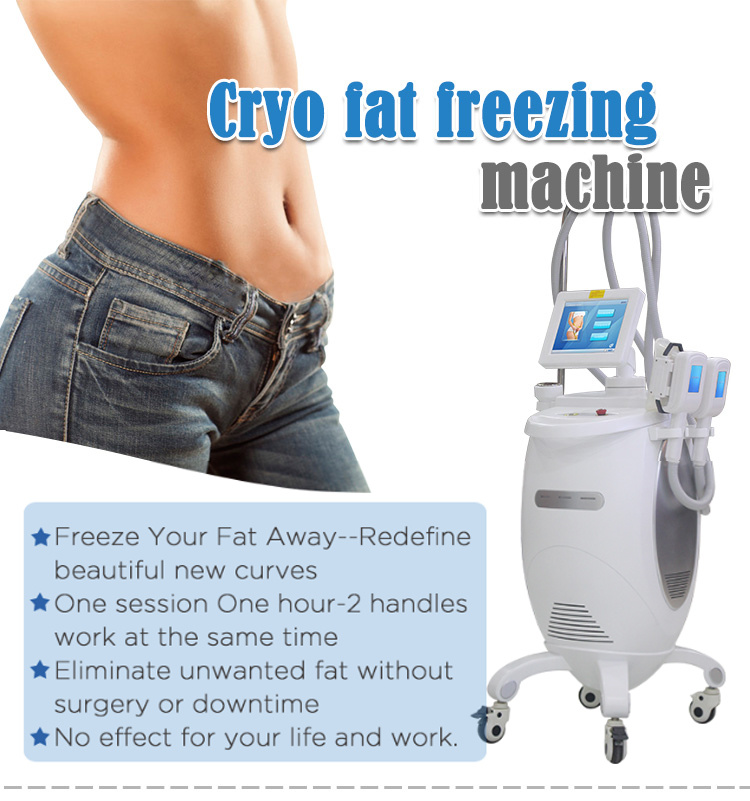 Wholesale Cryo Cool Slimming Machine Fg660L with 3 Handles ADSS Grupo
