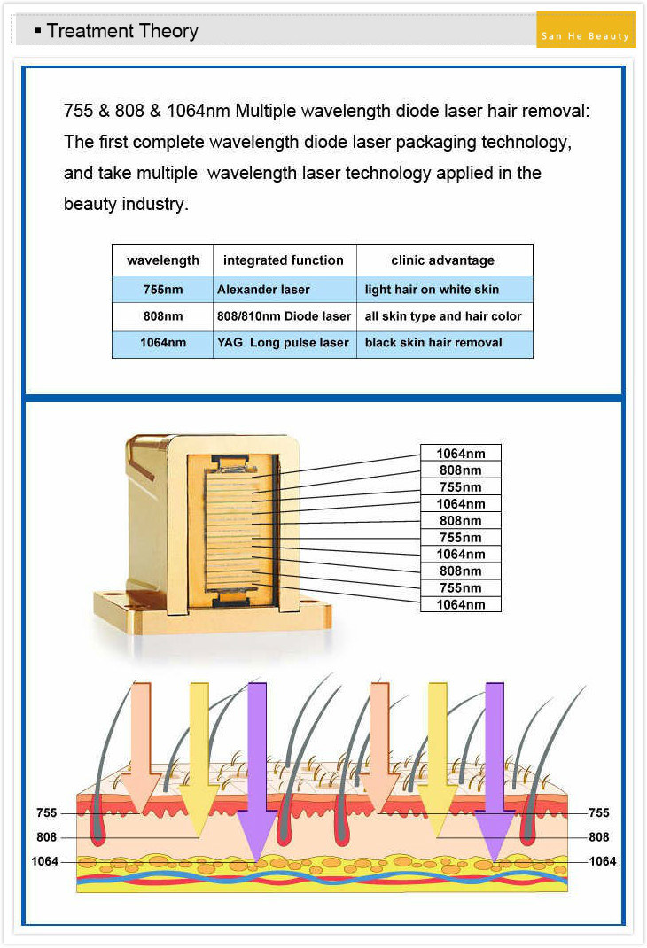 3 Wavelength 755 808 1064 Diode Laser Hair Removal Machine