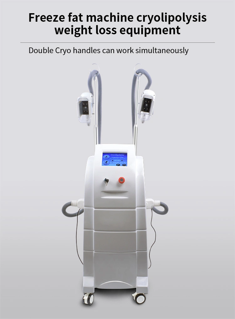 2020 Newest Factory Price Multifunction Cryotherapy Machine Cryolipolysis Beauty Equipment