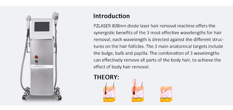 Professional Non-Crystal 3 Wavelengths Diode Laser Hair Removal 808nm 1064nm 755nm Alex Laser Machine