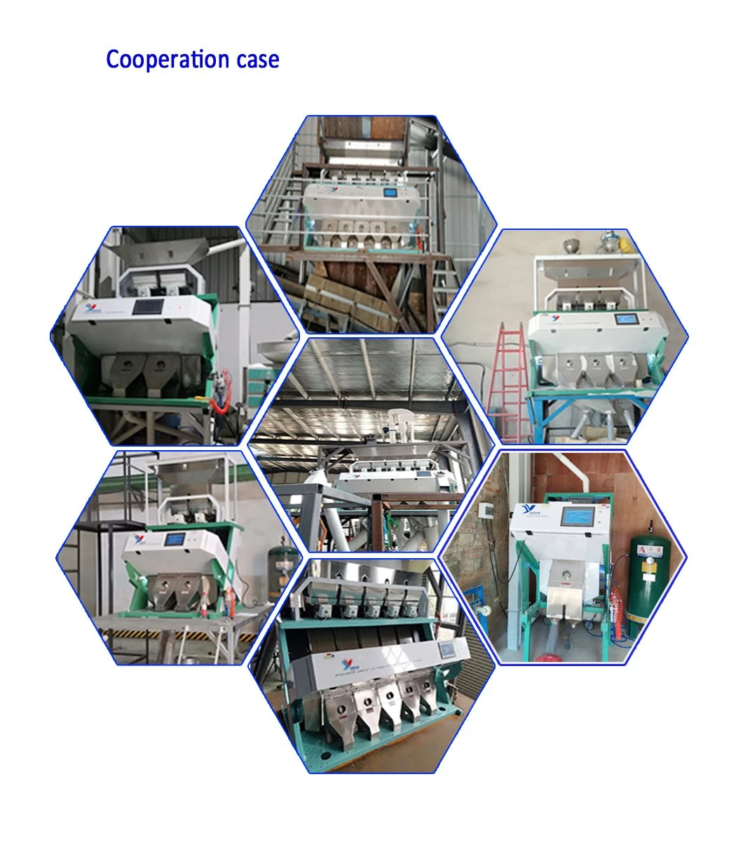 7 Chutes CCD Multifunctional Intelligent Professional LED Grain Sesame Color Sorter Machine