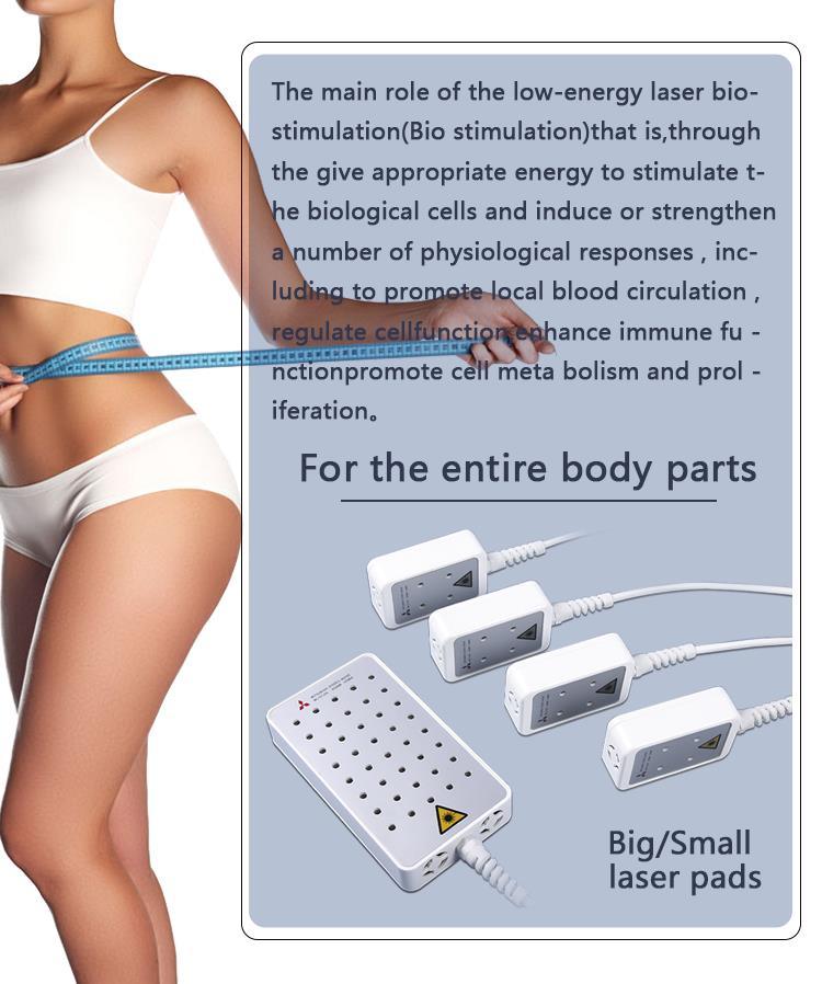 Dual Wave Length Laser Lipo Body Slimming Machine