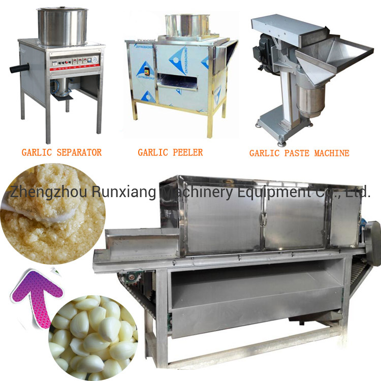 Ginger Garlic Paste Making Machine|Garlic Breaking Machine|Gralic Processing Machine