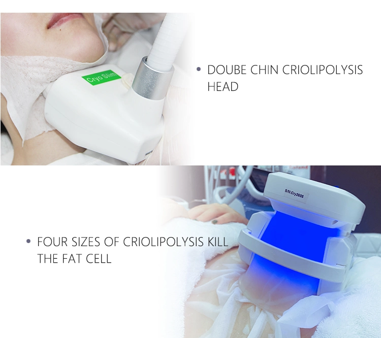 Vertical Criolipolisis Weight Loss 640nm Lipo Laser Cryolipolysis Fat Freeze Slimming Machine