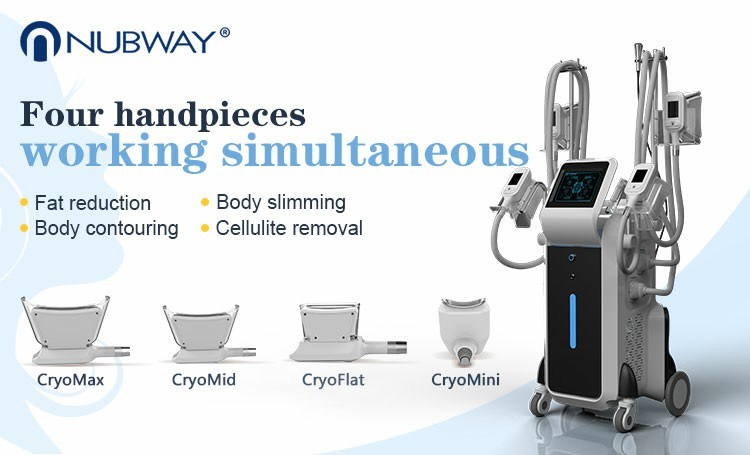 Cellulite Removal Cryolipolysis Machine 4 Cryo Handles Criolipolisis / Criolipolise Slimming Fat Freezing