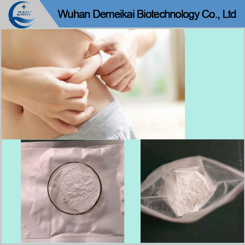 Wholesale Price of Cetilistat Powder with 99% Purity for Weight Loss