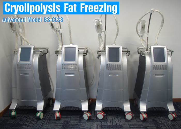 (BS-CLS8) Body Slimming Beauty Machine Cryolipolysis Freeze