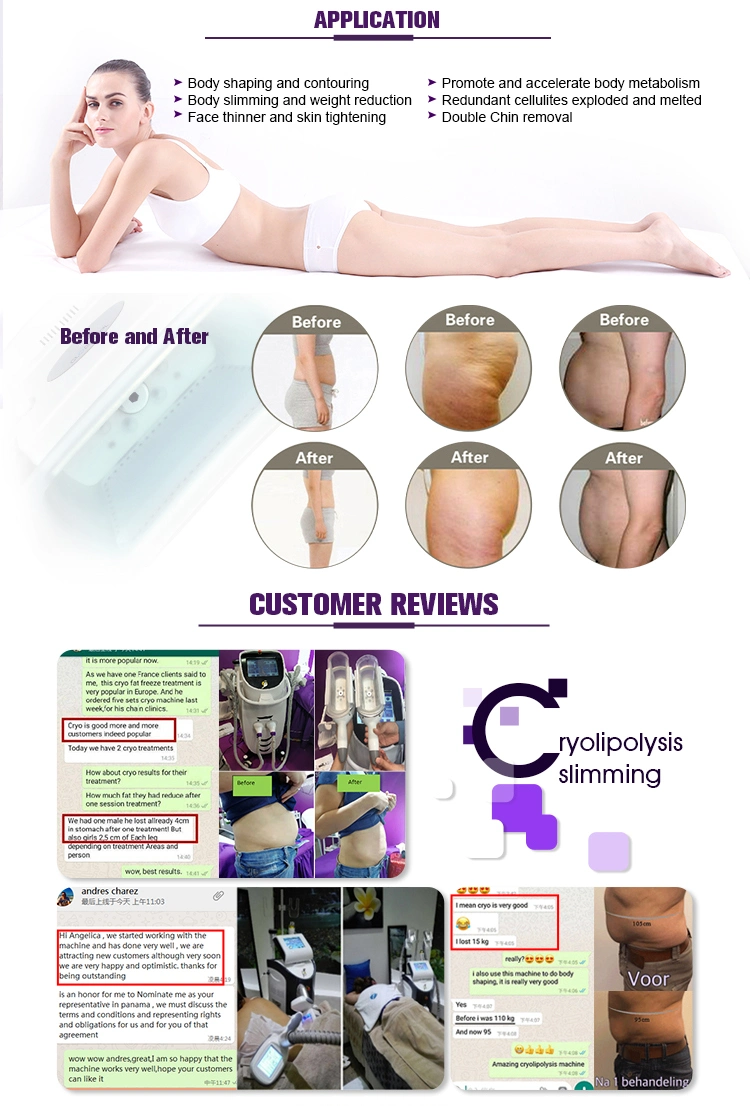 Fat Reduce Cryotherapy Freeze Machine Cryolipolysis Slimming Machine