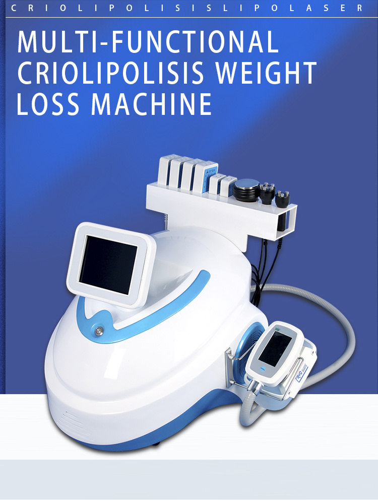 Effective Cryolipolyse Cryoshape Slimming Machine Criolipolisis Fat Machine