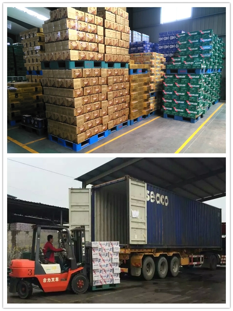 China Beer Factory for Beer Importer of 500ml Ome Private Label Beer