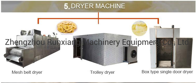 Ginger Garlic Paste Making Machine|Garlic Breaking Machine|Gralic Processing Machine