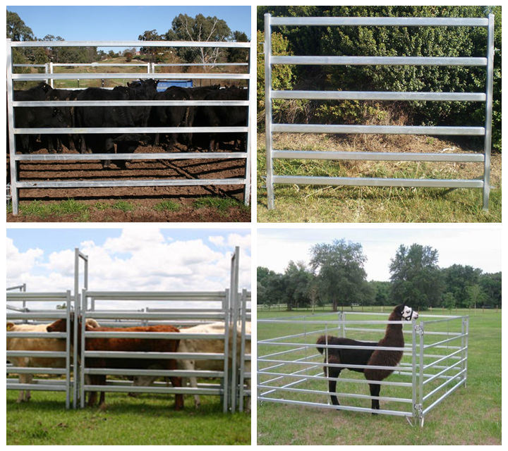 New Arrive 6 Bars Oval Pipe 115 mm Cattle Yards Panel for Sale (XMR92)