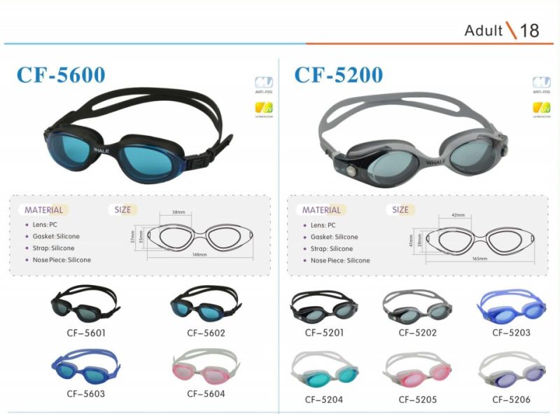 High-Grade Swimming Glasses, a Variety of Specifications and Styles