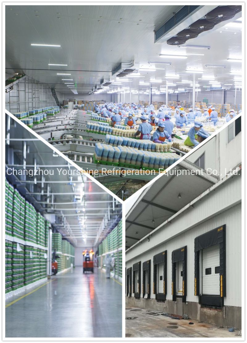 PU Wall Sandwich Panels 100mm 120mm 150mm Used in Cold Room Factory Price