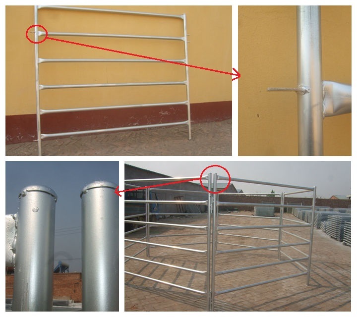 New Arrive 6 Bars Oval Pipe 115 mm Cattle Yards Panel for Sale (XMR92)