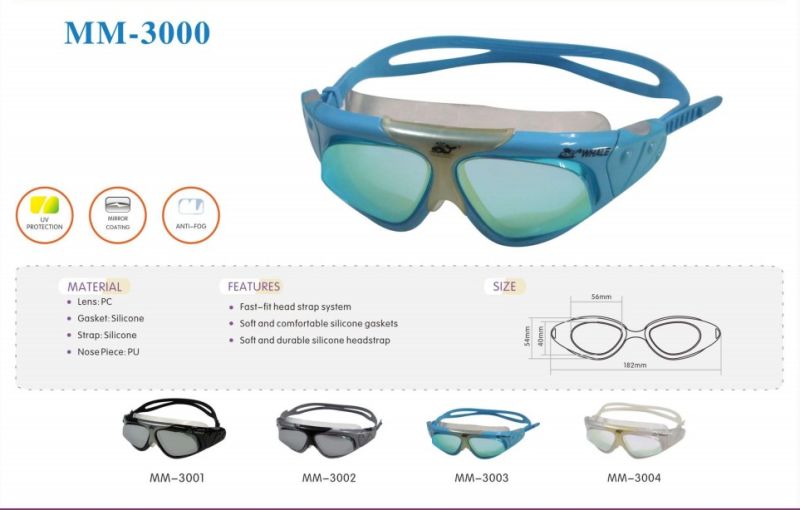 Swimming Anti - Fog Glasses, a Variety of Specifications and Styles