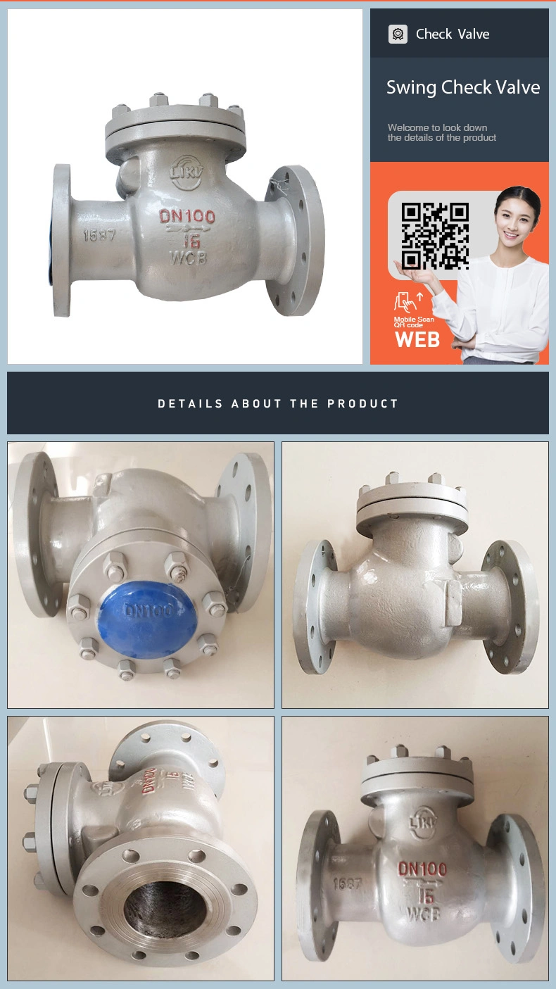 Stainless Steel DIN Wcb DN100 Pn25 Flapper Flanged Non Reture Swing Type Check Valve Price