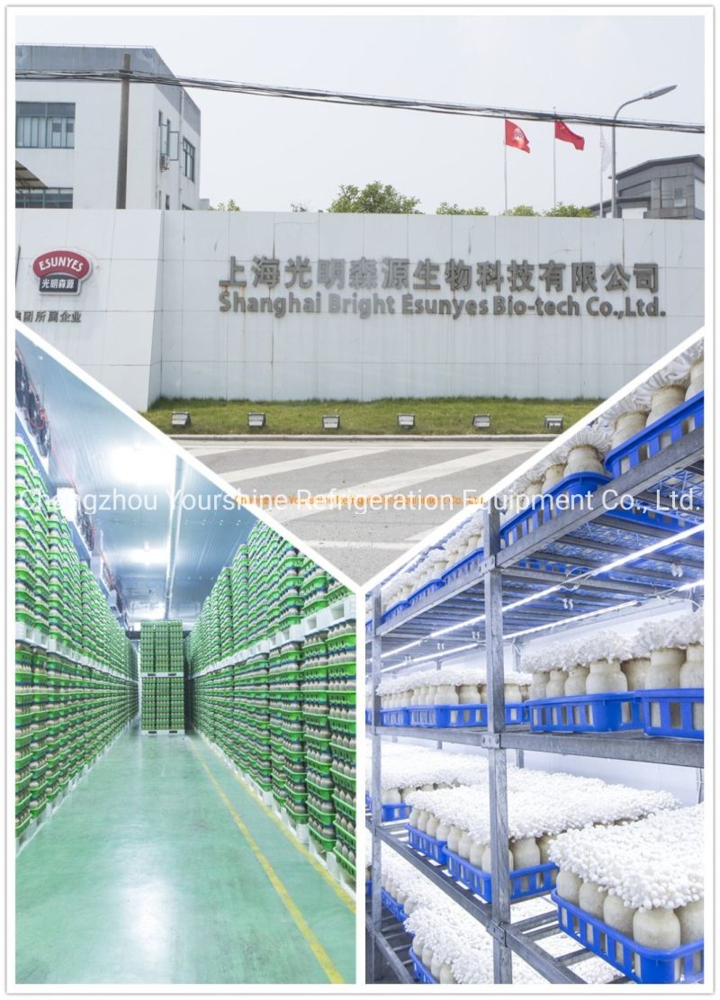 PU Wall Sandwich Panels 100mm 120mm 150mm Used in Cold Room Factory Price