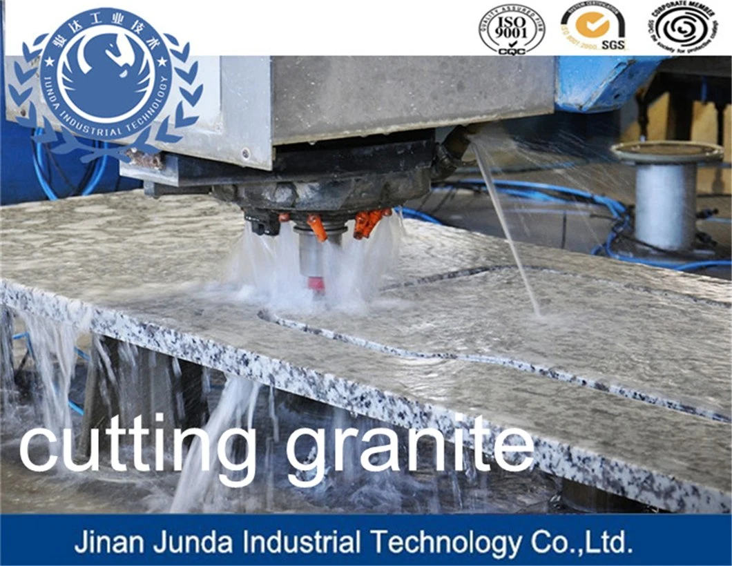 ISO 9001 Abrasives/Grit Manufacture/for Cutting Stone/Bearing Steel Grit for Cutting Stone and Marble