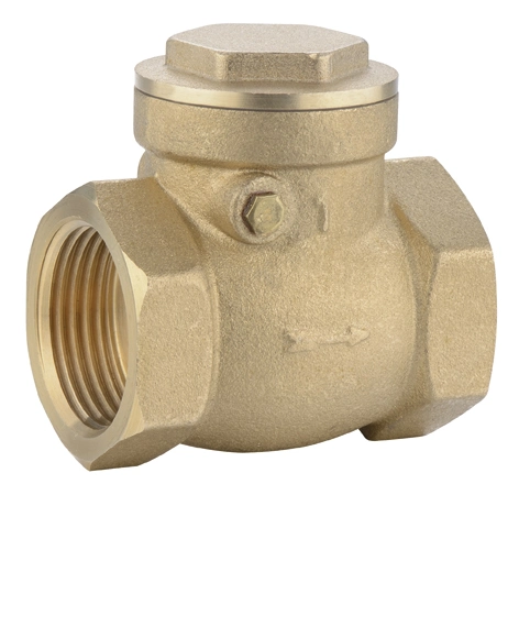 Pn16 Male Female Brass Flapper Type Single Disk Check Valve