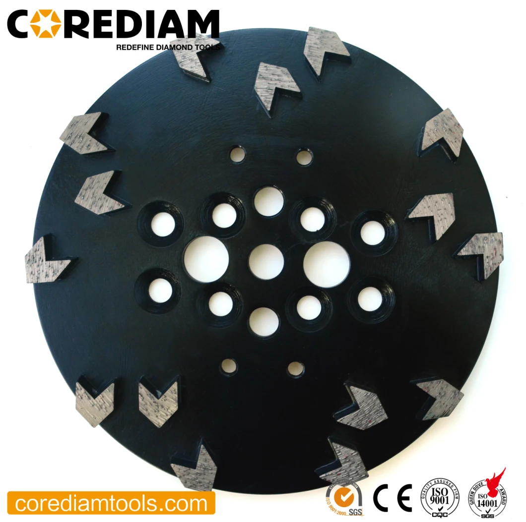 250mm Diamond Grinding Disc/Floor Grinder/Grinding Dics/Grinding Plate/Diamond Tool